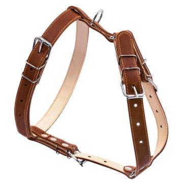 Изображение 3 - Collar Шлея двойная из кожи