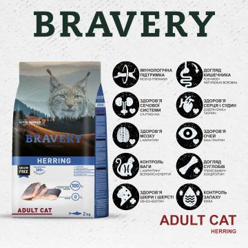 Изображение 2 - Bravery Herring Adult Cat