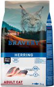 Bravery Herring Adult Cat