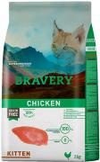 Bravery Chicken Kitten