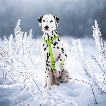 Изображение 3 - Collar Waudog Waterproof Шлея анатомическая Н-образная Салатовая