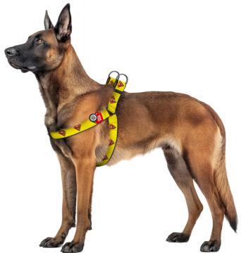 Изображение 2 - Collar WauDog Nylon Супермен 2 нейлоновая шлея