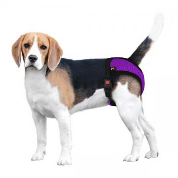 Изображение 2 - Barksi Mesh Гигиенические трусы для собак фиолетовые