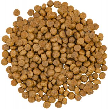 Изображение 2 - Savory Adult Cat Gourmand Salmon and White Fish