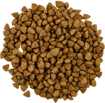 Изображение 2 - Savory Adult Cat Steril Lamb and Chicken