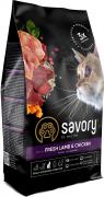 Savory Adult Cat Steril Lamb and Chicken
