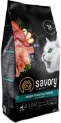 Savory Kitten Turkey and Chicken