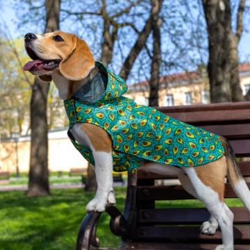 Изображение 3 - Barksi Дождевик с капюшоном авокадо