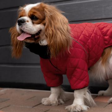 Изображение 1 - Barksi Textile Комбинезон-дождевик стеганный красный