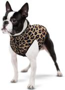 Collar Waudog clothes Курточка для собак цвет леопард