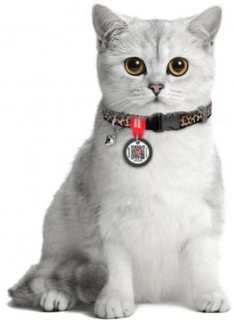 Изображение 2 - Collar WauDog Nylon з qr паспортом ошейник для котов цвет леопард