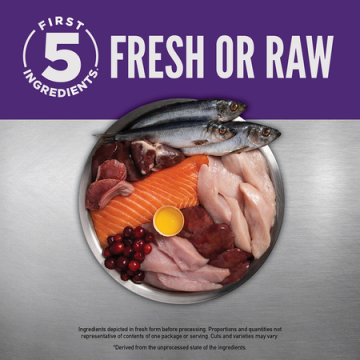Изображение 2 - Large Breed Adult Recipe