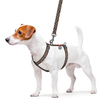 Изображение 2 - Collar WauDog Nylon з qr паспортом анатомическая шлея в цвете леопард