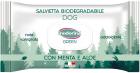 Inodorina Green Menta e Aloe с мятой и алоэ