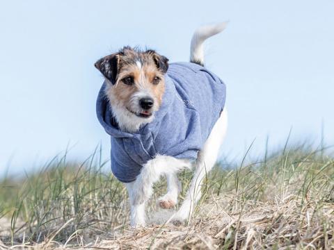 Изображение 2 - Trixie Pullover be nordic Пуловер цвет синий