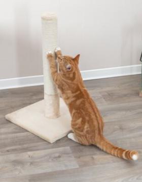 Изображение 7 - Trixie Scratching Post Batres Когтеточка