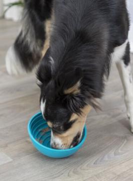 Изображение 3 - Trixie Lick’n'Snack Bowl Чаша для лизания