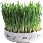 Trixie Ceramic Bowl Керамическая миска для кошачьей мяты