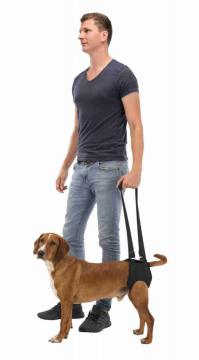 Изображение 3 - Trixie Walking Aid Поддерживающая шлейка
