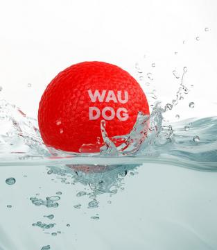 Изображение 3 - Collar Waudog Fun красный мяч