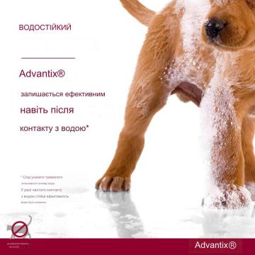 Изображение 6 - Elanco Advantix для собак более 25 кг