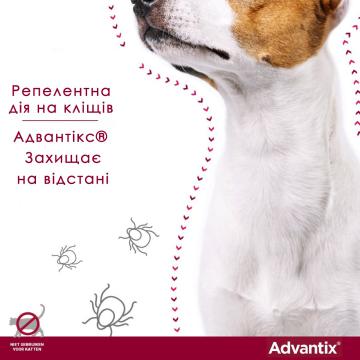 Изображение 4 - Elanco Advantix для собак более 25 кг