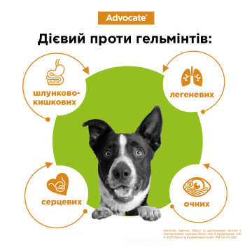 Изображение 3 - Elanco Advocate для собак до 4 кг