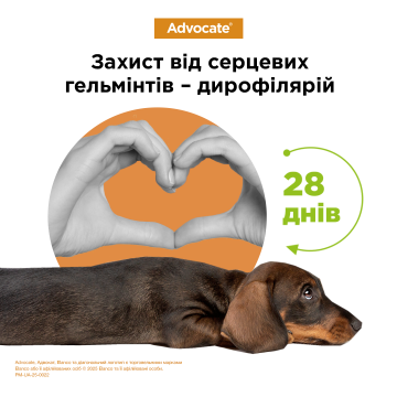 Изображение 2 - Elanco Advocate для собак до 4 кг