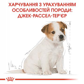 Изображение 2 - Royal Canin Jack Russell Terrier Puppy