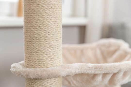 Изображение 4 - Trixie Cat Tree Alessia Когтеточка