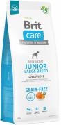 Brit Care Grain-Free Junior Large Breed Salmon & Potato