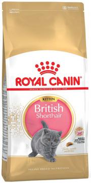 Изображение 1 - Royal Canin British Shorthair Kitten