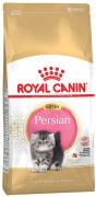 Royal Canin Persian Kitten