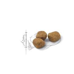 Изображение 2 - Royal Canin Indoor +7