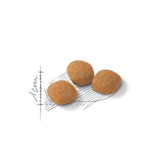 Изображение 2 - Royal Canin Exigent Protein