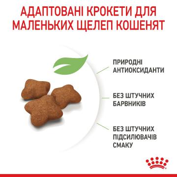 Изображение 3 - Royal Canin Kitten Sterilised