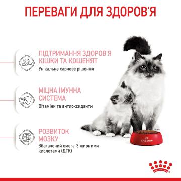 Изображение 4 - Royal Canin Mother & Babycat