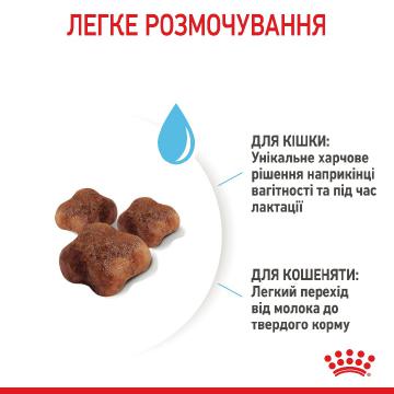 Изображение 2 - Royal Canin Mother & Babycat