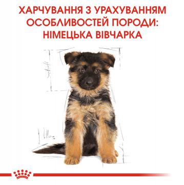 Изображение 2 - Royal Canin German Shepherd Puppy