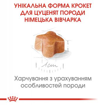 Изображение 3 - Royal Canin German Shepherd Puppy