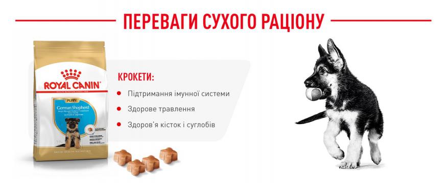 Изображение 4 - Royal Canin German Shepherd Puppy