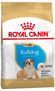 Royal Canin Bulldog Puppy