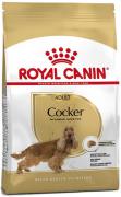 Royal Canin Cocker Adult