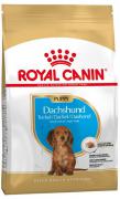 Royal Canin Dachshund Puppy