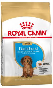 Изображение 1 - Royal Canin Dachshund Puppy