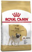 Royal Canin Pug Adult