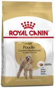 Royal Canin Poodle Adult