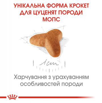 Изображение 3 - Royal Canin Pug Puppy