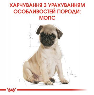 Изображение 4 - Royal Canin Pug Puppy