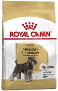 Royal Canin Miniature Schnauzer